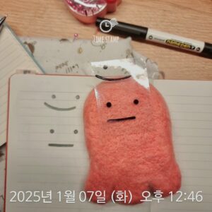 2025-01-07-양모펠트