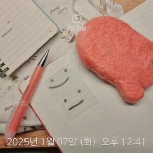 2025-01-07-양모펠트