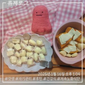 갓생 저속노화식단 영양식 건강한식습관 동기부여 식단