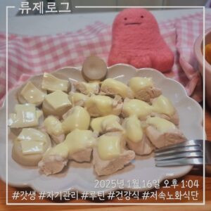 갓생 저속노화식단 영양식 건강한식습관 동기부여 식단 루틴