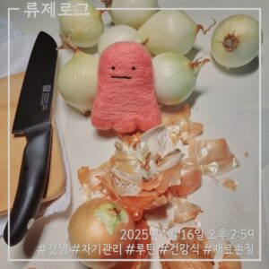 갓생 저속노화식단 건강한식습관 건강한삶 동기부여 루틴 식재료손질 양파손질