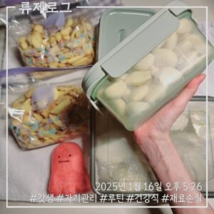 갓생 저속노화식단 건강한식습관 건강한삶 동기부여 루틴 식재료손질 양파손질 마늘손질 생강손질