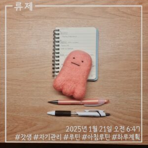 하루계획 갓생 모닝루틴 달성 성취 아날로그인간 ryujex 류제