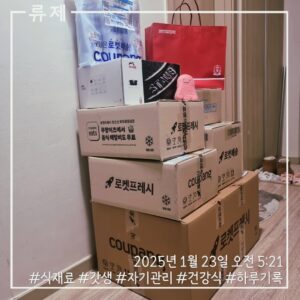 ryujex 류제 갓생 동기부여 자기계발 루틴 하루기록. 쿠팡 쿠팡프레시 로켓배송 스타우브냄비구입 정관장홍삼