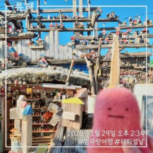 갓생 동기부여 자기관리 건강한삶 ryujex 류제 여행 동해바다 동해시 삼척시 겨울바다