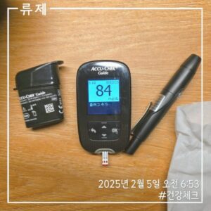 건강한삶 ryujex 류제 갓생 겅강관리 건강체크 혈당체크 혈압체크 혈당관리 아큐체크 혈당기 혈당기록 정상혈당 공복혈당