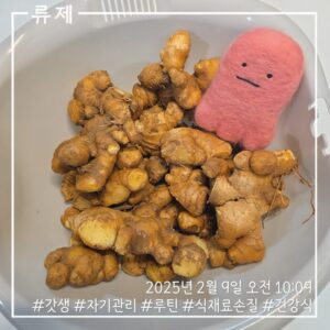 ryujex 류제 갓생 저속노화식단 건강한식습관 건강한삶 동기부여 루틴 식재료손질 생강손질
