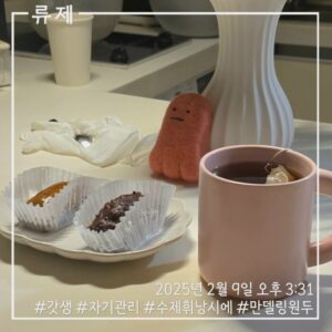 갓생 동기부여 자기관리 식단 건강한삶 ryujex 류제 디저트 수제휘낭시에 수제디저트 만델링커피 인도네시아커피