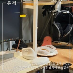갓생 동기부여 자기관리 식단 건강한삶 ryujex 류제 디저트 수제휘낭시에 수제디저트 레즈비언 레즈비언커플 연인의선물