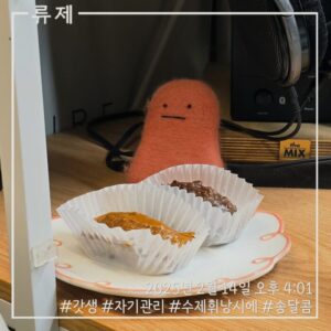 갓생 동기부여 자기관리 식단 건강한삶 ryujex 류제 디저트 수제휘낭시에 수제디저트 레즈비언 레즈비언커플 연인의선물