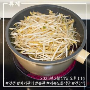 갓생 저속노화식단 영양식 건강한식습관 동기부여 자기관리 식단 건강한삶 ryujex 류제 소고기전골