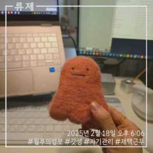 ryujex 류제 갓생 재택근무 실행력 루틴 일잘러 동기부여