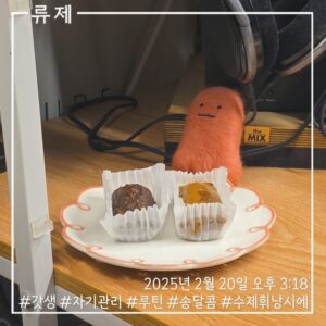 갓생 동기부여 자기관리 식단 건강한삶 ryujex 류제 디저트 수제휘낭시에 수제디저트 레즈비언 레즈비언커플 연인의선물