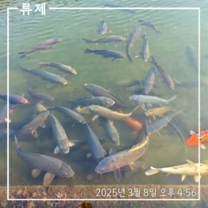 동기부여 갓생 ryujex 류제 자기관리 건강한삶 국립현대미술관 데이트