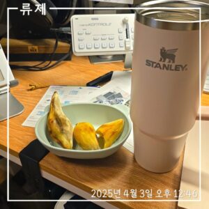 갓생 저속노화식단 영양식 건강한식습관 동기부여 자기관리 식단 건강한삶 ryujex 류제 갤럭시S25울트라 군고구마