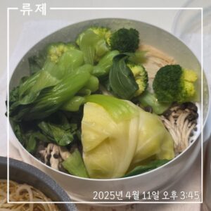 갓생 저속노화식단 영양식 건강한식습관 동기부여 자기관리 식단 건강한삶 ryujex 류제 갤럭시S25울트라 무우지 닭다리살 닭안심살 양배추찜