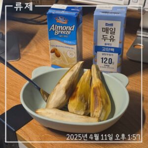갓생 저속노화식단 영양식 건강한식습관 동기부여 자기관리 식단 건강한삶 ryujex 류제 갤럭시S25울트라 고구마 두유